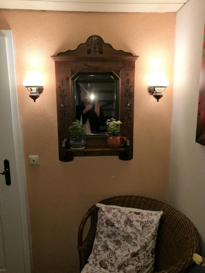 Elbhangzimmer Dresde Extérieur photo